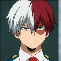 Shoto Todoroki