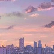 Nhân vật phụ
