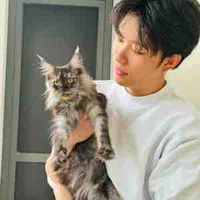 Trần Đăng Dương 