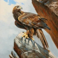 ☾_𝐄𝐚𝐠𝐥𝐞_☽