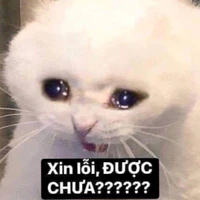 T/G Mồm lèo :)