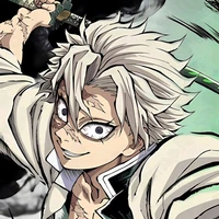 Shinazugawa Sanemi
