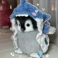 Tớ là Tgiaa