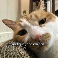 T/g