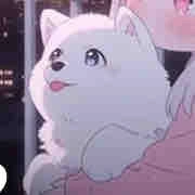 Lông trắng - Shiro