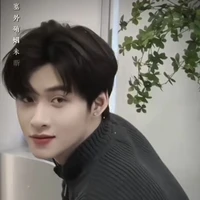 huỳnh hoàng hùng- gemini