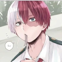 Todoroki Shouto
