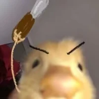 Tác giả ᰔᩚ
