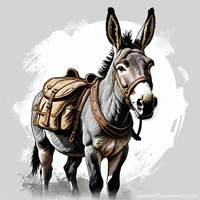 donkey