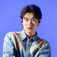 dương domic