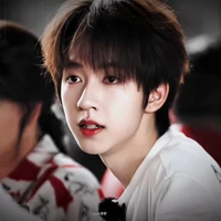 Hạ Tuấn Lâm