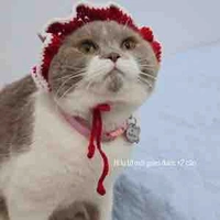 Hoa ( bạn của bạn)