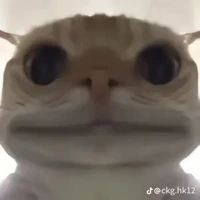 cận vệ Pháp 2