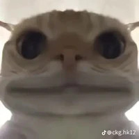 cận vệ Pháp 2