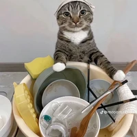 Hệ thống mê gái 🙂