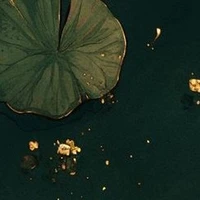 tui nè mấy má
