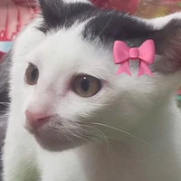 t/g lười nhất tg