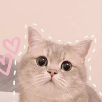 Quế Quế