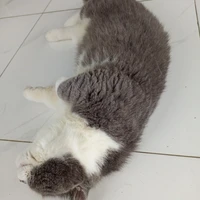 lợi (bạn thân ngân )