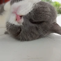 nguyệt(bạn thân ngân)