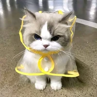 nhỏ tác giảaツ