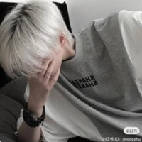 Dịch Triệu Hàn/Joyce Louis-anh