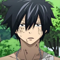 Gray Fullbuster