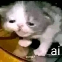 tg hay di ỉa