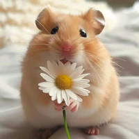 Tác giả (Chuột hamster đuôi dài)