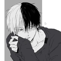todoroki nv9