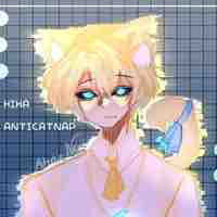 Hiha anti capnat