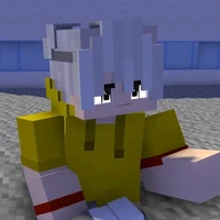 Vid