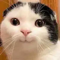 t/g