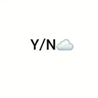 Y/N