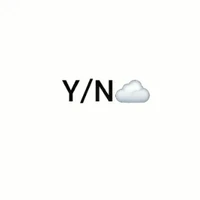 Y/N
