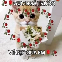 All trừ những ai cần trừ