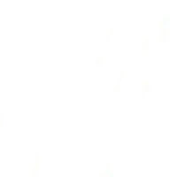 nữ(all)