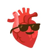 Heart 🫀