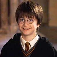 Harry Potter.