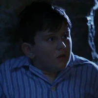 dusley dursley