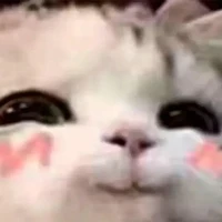 Tôi là Tgia nè ❤