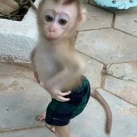 tác giả