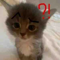 All ( trừ ai thì trừ)  