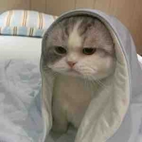 Nhỏ Tác Giả🫶🏻