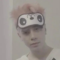 gấu ( t/g)
