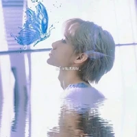 Trương Chân Nguyên