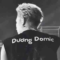 Dương Domic