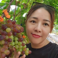 má Thắm