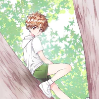 Li Syaoran