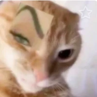 Ka